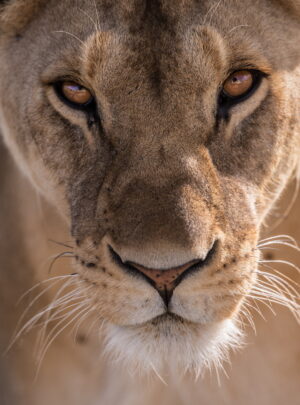 Tanzania holiday package