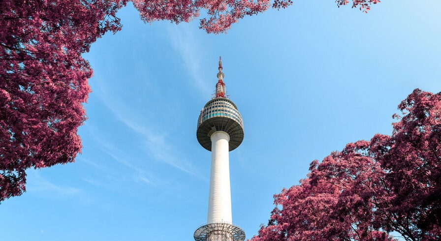 South Korea tour from Nepal